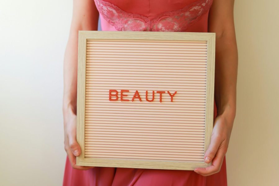 Terms of Service -Starkiv beauty Terms of Service -Starkiv beauty